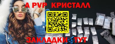 стафф Донской