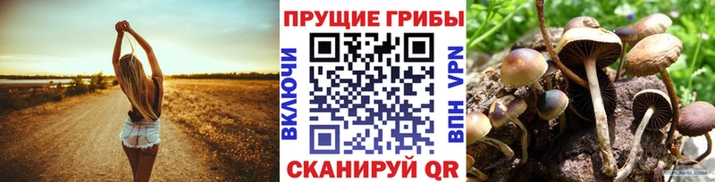 Псилоцибиновые грибы ЛСД Нижний Новгород