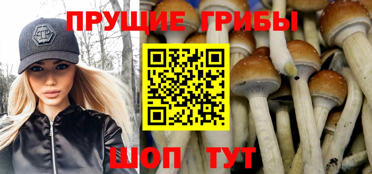 купить   Вход с VPN  Нижний Новгород  Псилоцибиновые грибы Magic Shrooms 
