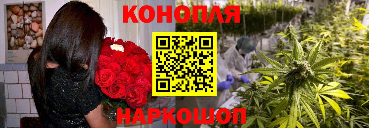 Марихуана тримм Нижний Новгород